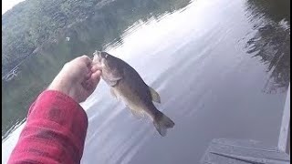 Goose Pond Bass Fishing [upl. by Sari727]