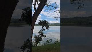 Neene Neene🏞🌲YtmusicVijay Prakash Shortfeed [upl. by Hardy71]