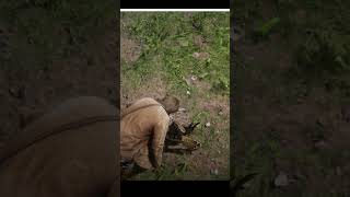 RDR 2foryouシrdr2reddeadredemption2rdr2 4kgaming4kgameplay4k statusviralshort [upl. by Ready341]