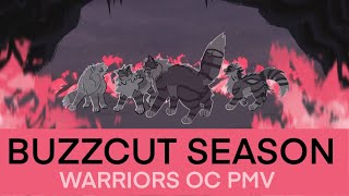 Buzzcut Season  Warriors OC PMV [upl. by Barthol748]