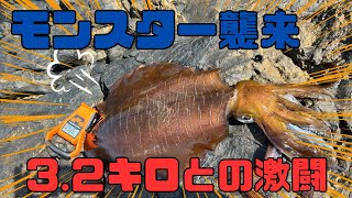 32キロモンスターアオリイカとの激闘！二度目の磯で一人ピクニックを最高に楽しむ☆【ヤエン釣り】 [upl. by Lorena]