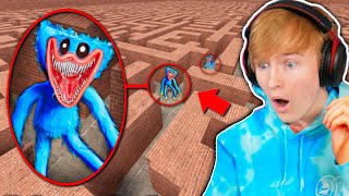 NIGHTMARE HUGGY WUGGY IN MAZE gmod nextbot [upl. by Eniamreg426]