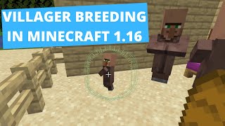 Villager Breeding Guide  Tutorial for Minecraft in 116  1165 [upl. by Ahsratal461]