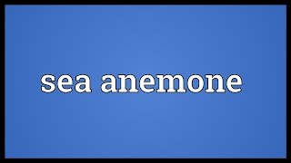 Sea anemone Meaning [upl. by Henderson810]