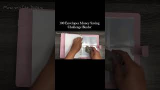 100 Envelopes Money Saving Challenge Binder [upl. by Eelnodnarb978]