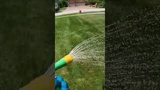 Bulletproof Fungicide Treatment for Lawns lawncare lawnlife [upl. by Arela]