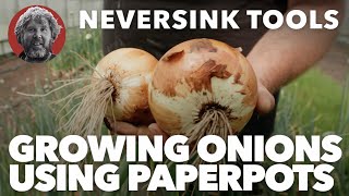 Growing Onions Using Paperpots [upl. by Jephthah683]