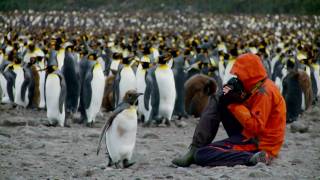 Antarctic Voyage on board mv Plancius English [upl. by Howey]