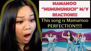 MAMAMOO quotMUMUMUMUCHquot MV REACTION  This song is literally PERFECT Mamamoo blew me the F away [upl. by Nnhoj518]