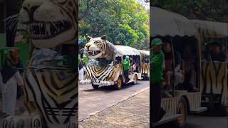 Kereta macan gajah thom [upl. by Landahl259]