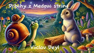 Příběhy z Medové stráně 🐌🐢 audiokniha  Václav Deyl  četba pro děti na pokračování 1 kapitola [upl. by Xymenes]