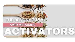 The Most Powerful AMPK Metabolic Activators [upl. by Savil205]