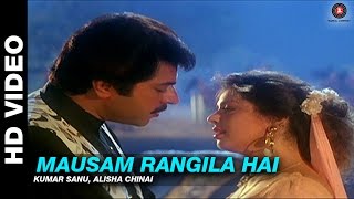 Mausam Rangila Hai  Dhartiputra  Kumar Sanu Alisha Chinai  Mammootty amp Jaya Prada [upl. by Tirb499]