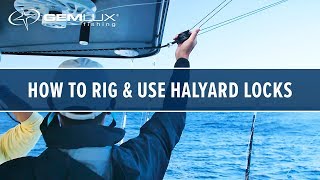 How To Rig and Use Halyard Locks With Gemlux Outriggers [upl. by Orville49]