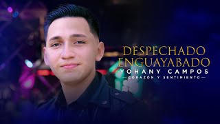 DESPECHADO ENGUAYABADO  YOHANY CAMPOS VIDEO OFICIAL [upl. by Essirahs]