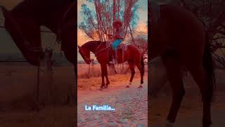 LA FAMILIA parientesdelrancho martinloza [upl. by Danyette729]