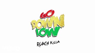 Roach Killa  Go Down Low Lyric Video [upl. by Gosselin106]