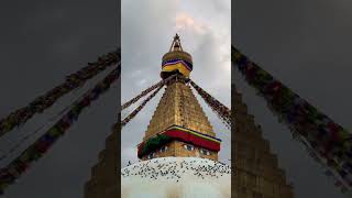 Boudha stupaNepal Tourist place short video peaceful mind environment [upl. by Atinehc842]