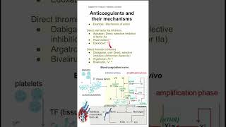 Anticoagulants and their mechanisms [upl. by Nnovahs]