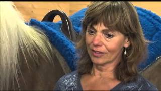 Therapists turn to Hippotherapy to help Autistic patients [upl. by Aleunam]