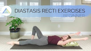 Beginner Diastasis Recti Exercises  Build deep abdominal amp pelvic floor muscle strength [upl. by Namrak]