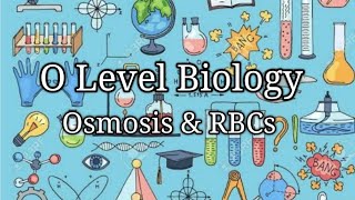 O Level Biology  Osmosis amp RBCs Experiment Hypertonic Isotonic amp Hypotonic [upl. by Nivre]