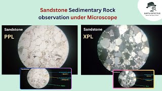 Sandstone Sedimentary Rock Thin section under Microscope  Identify cement Quartz Feldspar mineral [upl. by Arraes]