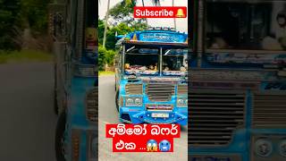 තව ටිකෙන් buffer එක left 😪🥶 supportbus trending vvip subscribeshorts youtube1k top100k [upl. by Gennifer]