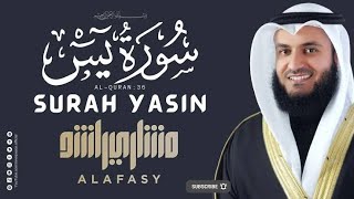 Surah Yaseen  Surah Yaseen by Sheikh Mishari Bin Rashid Alafasy  سورہ یس [upl. by Birmingham]