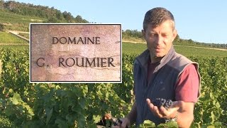 DOMAINE GEORGES ROUMIER by LOTEL DU VIN [upl. by Topper]