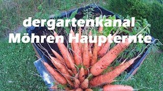 Möhren Ernte und Kaninchen im Hochbeet  Hochbeet im Garten 6 [upl. by Notgnirra390]