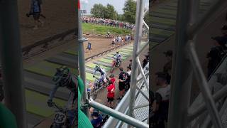 Geerts Cairoli Guillod Guadagnini Mewse MXGP of 🇳🇱 2024 start gate mxgp 4t ducati 450cc [upl. by Annabal]