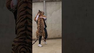 Tiger Meets me After 4 Months  Nouman Hassan [upl. by Asabi992]