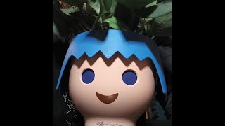 playmobil et scindapsus Treubii Moonlight [upl. by Fortna248]