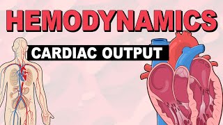 Cardiac Output  Hemodynamics Part 3 [upl. by Ecitnerp]