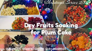 Traditional Dry fruits Soaking for Plum Cake Christmas Series 2024🎄ക്രിസ്തമസ് ഒരുക്കങ്ങൾ🧑‍🎄 [upl. by Aslehc]