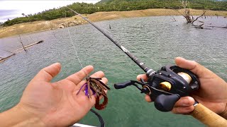 Catching Post Spawners With Casting Jigs amp Weedless Darter Heads  Early Summer Bass Fishing [upl. by Liu777]