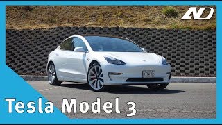 Tesla Model 3 ya está en México y esto es lo que debes saber  Primer Vistazo [upl. by Ettenaj]