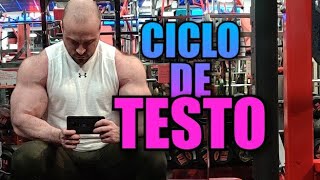 CICLO DE TESTO EL MEJOR PARA PRINCIPIANTES [upl. by Giannini667]