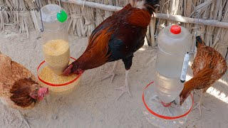 Como hacer BEBEDERO Y COMEDERO para Gallinas con Botellas de plástico [upl. by Roosnam597]