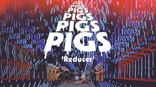 Pigs Pigs Pigs Pigs Pigs Pigs Pigs – Reducer [upl. by Akirrehs]