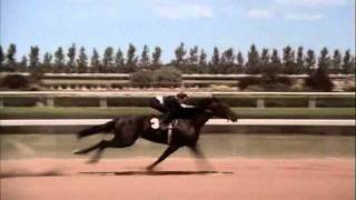 The Black Stallion Race Rescored Whit Return To Snowy River Music [upl. by Ker]