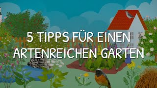 5 Tipps für einen artenreichen Garten [upl. by Perusse]