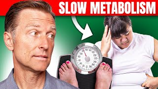 The Best Way to Fix a Slow Metabolism – Dr Bergs Expert Advice [upl. by Huston830]