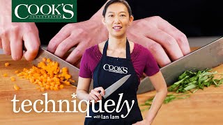 The 3 Knife Skills Everyone Should Know  Techniquely With Lan Lam [upl. by Julianne]