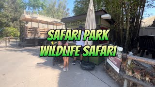 Safari park  San Diego Zoo  wildlife safari tour [upl. by Aliemaj]