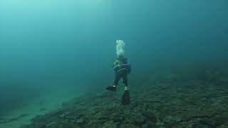 Diving at Hanging Rock Mooloolaba  Sept 2024 [upl. by Octavia792]