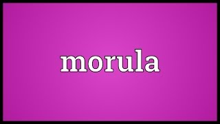 Morula Meaning [upl. by Greenwood]