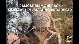 RamCat Diamondback Simple But Devastating Broadhead [upl. by Hy]