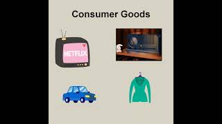 Consumer Goods Vs Capital Goodsshorts commercestudiesbydiyanaren86 [upl. by Ailaham]